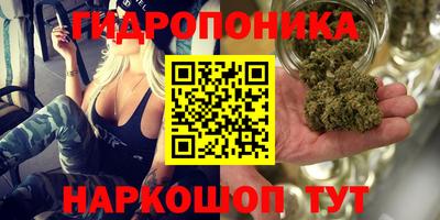 Альфа ПВП Старая Купавна