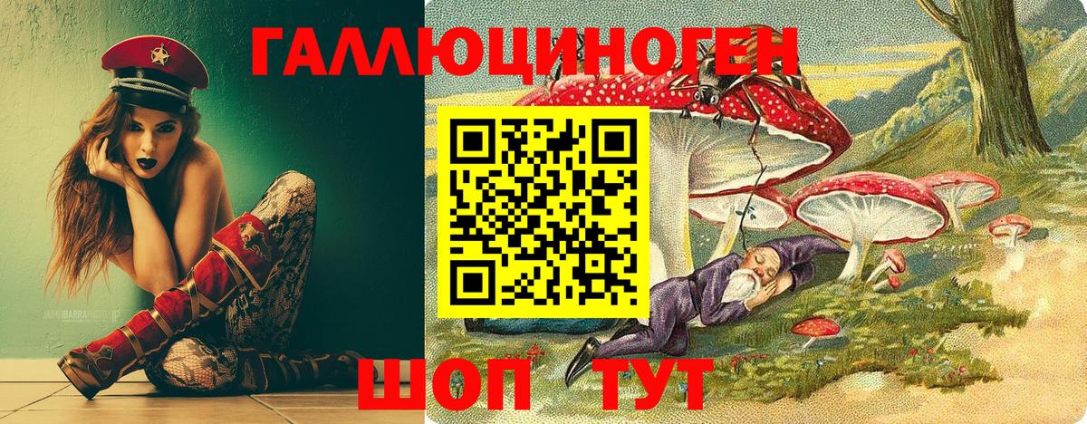Галлюциногенные грибы прущие грибы  Вход с VPN  Галлюциногенные грибы Psilocybine cubensis  Новодвинск 