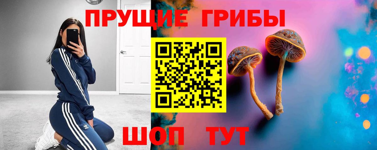 Псилоцибиновые грибы прущие грибы Новодвинск